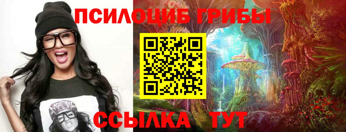 Знаменск  Галлюциногенные грибы Magic Shrooms  Вход с VPN  Псилоцибиновые грибы Psilocybe 